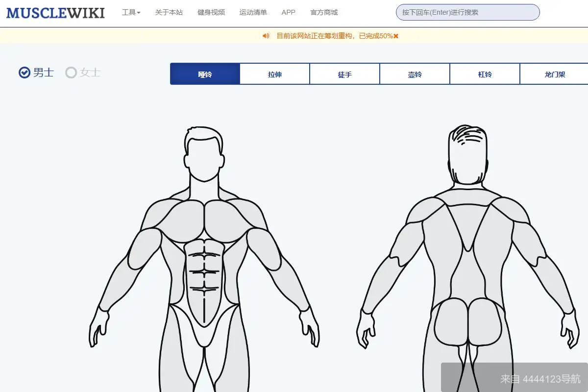 musclewiki 网站首页截图